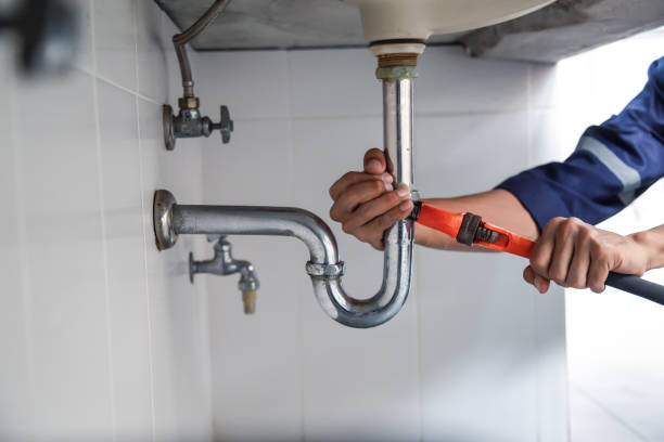 Best Plumbing Services Near Me  in Cold Springs, NV