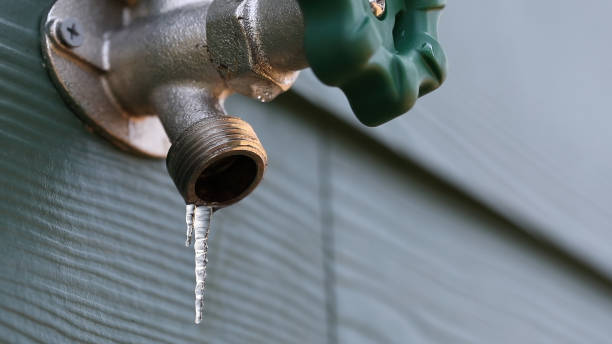 Best Drain Cleaning Services  in Cold Springs, NV
