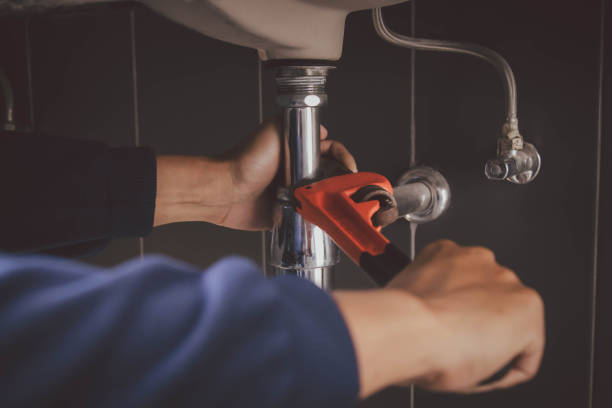 Best Toilet Repair Services  in Cold Springs, NV